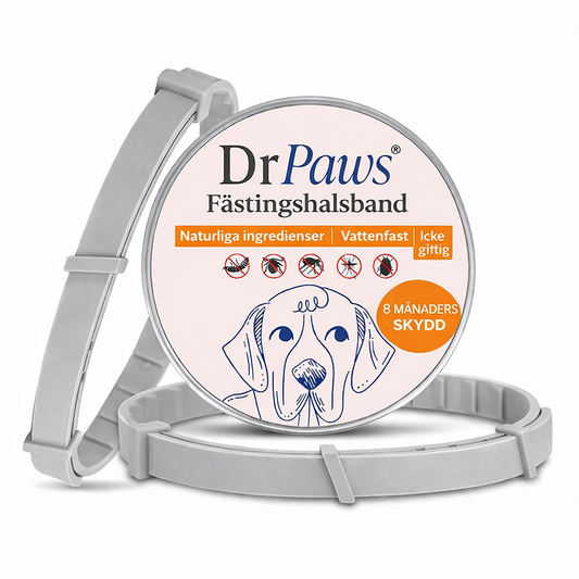 Fästing & Lopphalsband för Hund